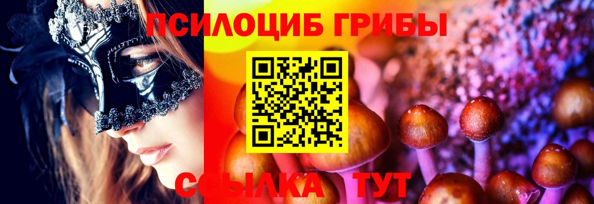 Ивантеевка  где можно купить наркотик  Псилоцибиновые грибы MAGIC MUSHROOMS  Вход с VPN  Галлюциногенные грибы мицелий 